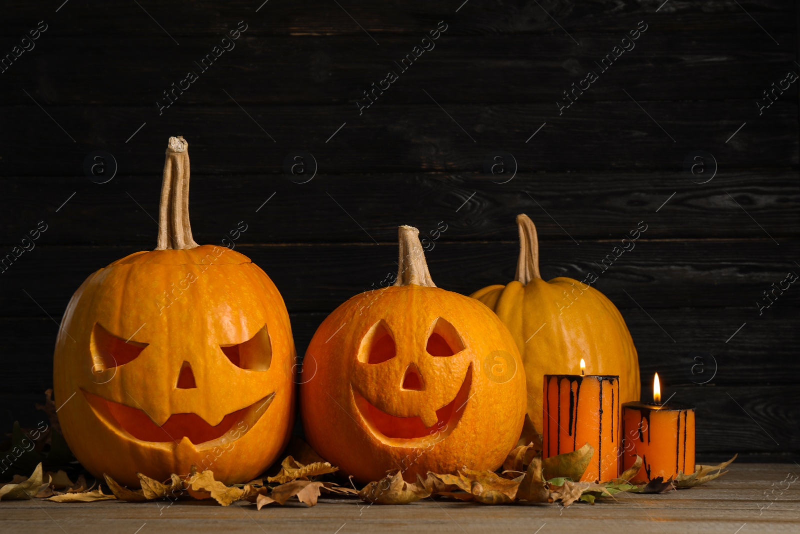 Photo of Pumpkins with scary faces and burning candles on black wooden background. Halloween traditional decor