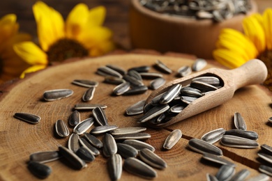 Raw sunflower seeds on wooden stand, closeup Photo of Raw sunflower seeds on wooden stand, closeup