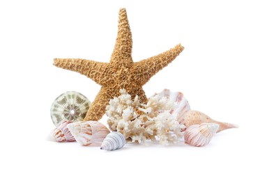 Beautiful sea star, coral and seashells on white background Photo of Beautiful sea star, coral and seashells on white background