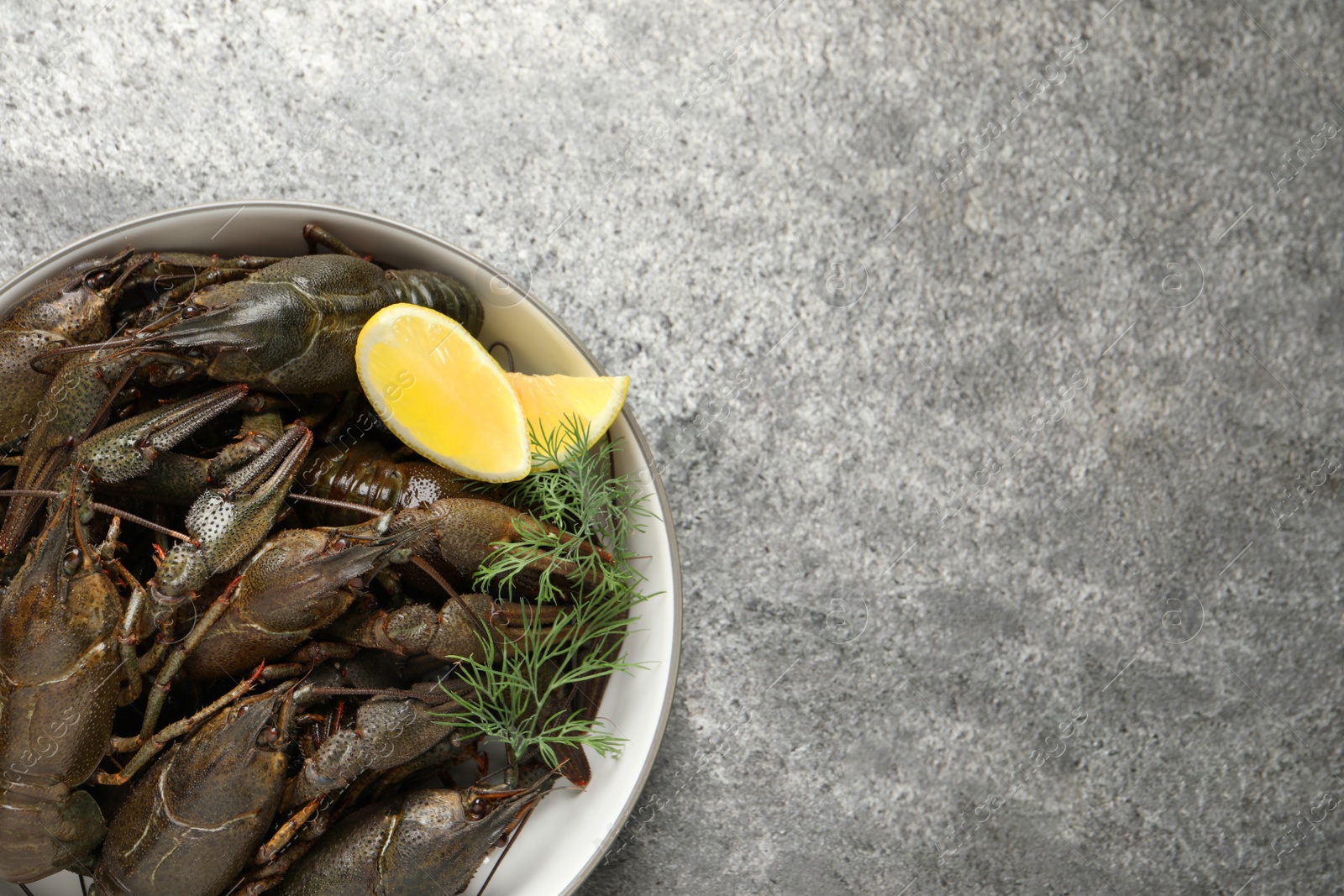 Fresh raw crayfishes with lemon and dill on grey table, top view. Space for text Photo of Fresh raw crayfishes with lemon and dill on grey table, top view. Space for text