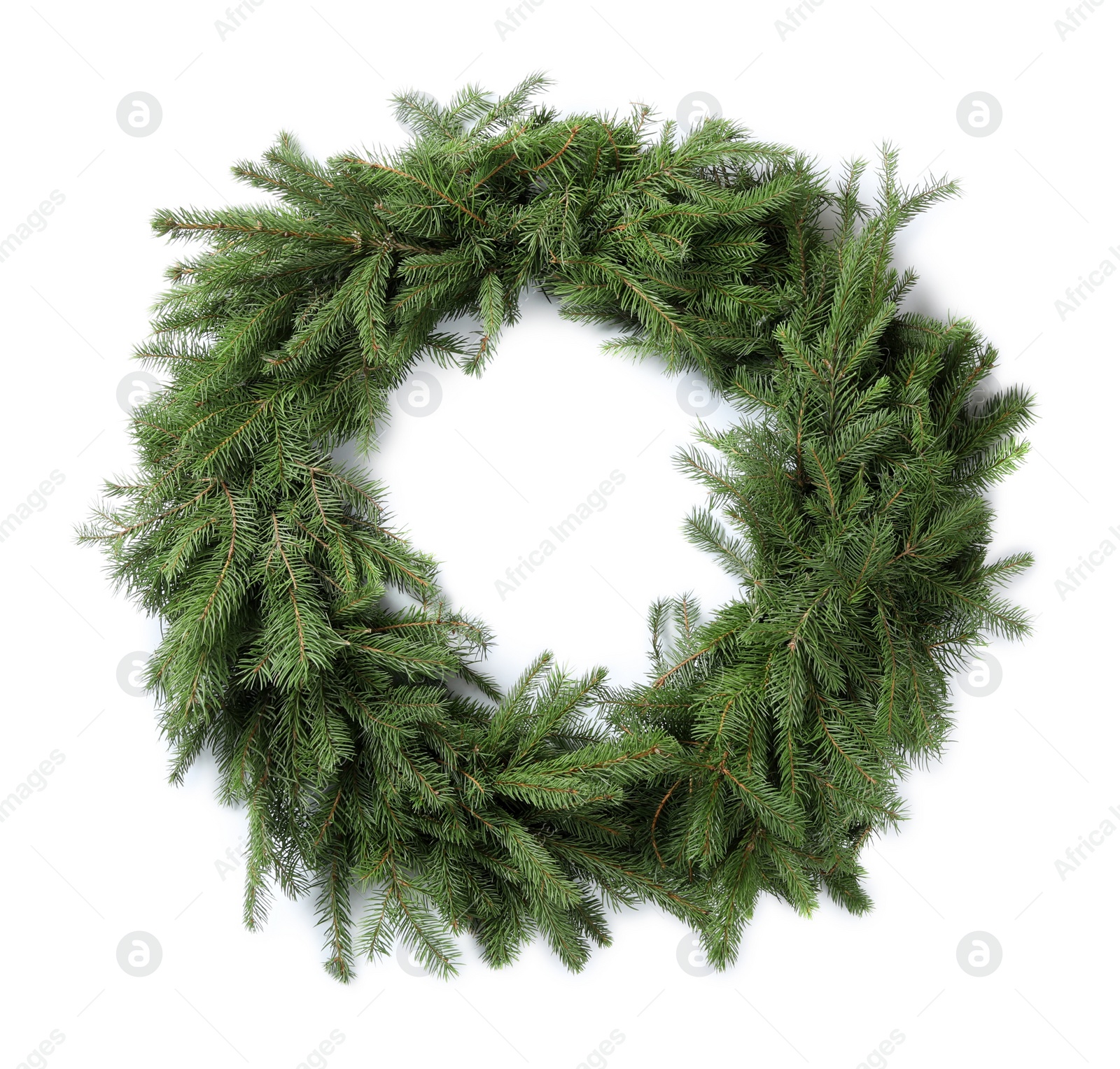 Christmas wreath made of fir branches on white background Photo of Christmas wreath made of fir branches on white background