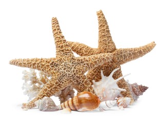 Beautiful sea stars and seashells on white background Photo of Beautiful sea stars and seashells on white background