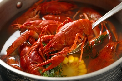 Spoon with fresh delicious crayfish over pot, closeup Photo of Spoon with fresh delicious crayfish over pot, closeup