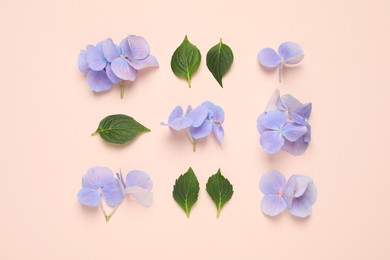 Beautiful hortensia flowers with leaves on pale light beige background, flat lay Photo of Beautiful hortensia flowers with leaves on pale light beige background, flat lay