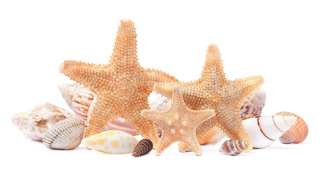 Beautiful sea stars and seashells on white background Photo of Beautiful sea stars and seashells on white background