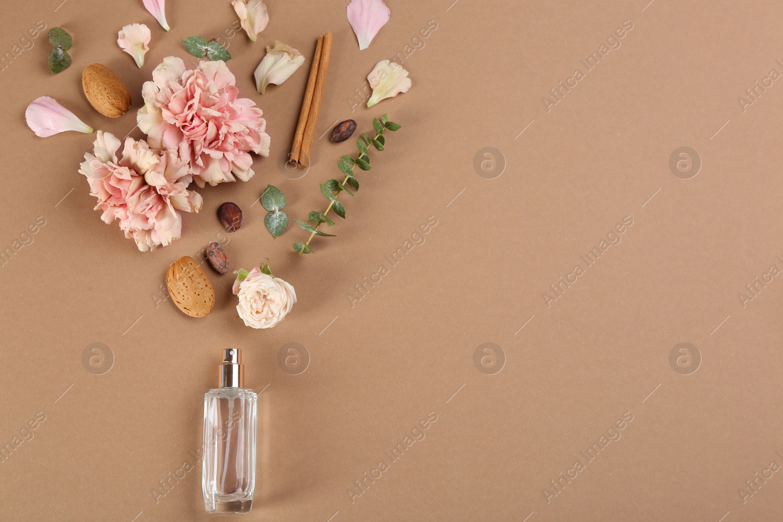 Flat lay composition with bottle of perfume on light brown background, space for text Photo of Flat lay composition with bottle of perfume on light brown background, space for text