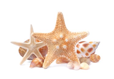 Beautiful sea stars and seashells on white background Photo of Beautiful sea stars and seashells on white background
