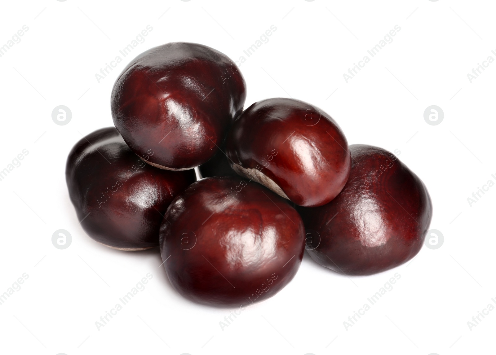 Photo of Pile of horse chestnuts isolated on white