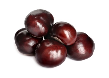 Pile of horse chestnuts isolated on white Photo of Pile of horse chestnuts isolated on white