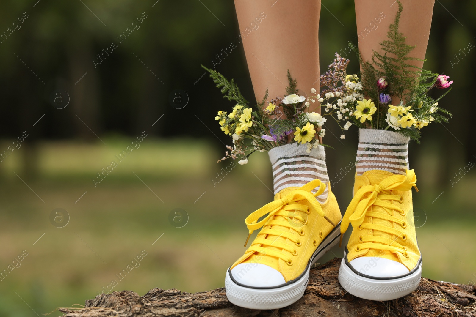 Woman standing on log with flowers in socks outdoors, closeup. Space for text Photo of Woman standing on log with flowers in socks outdoors, closeup. Space for text