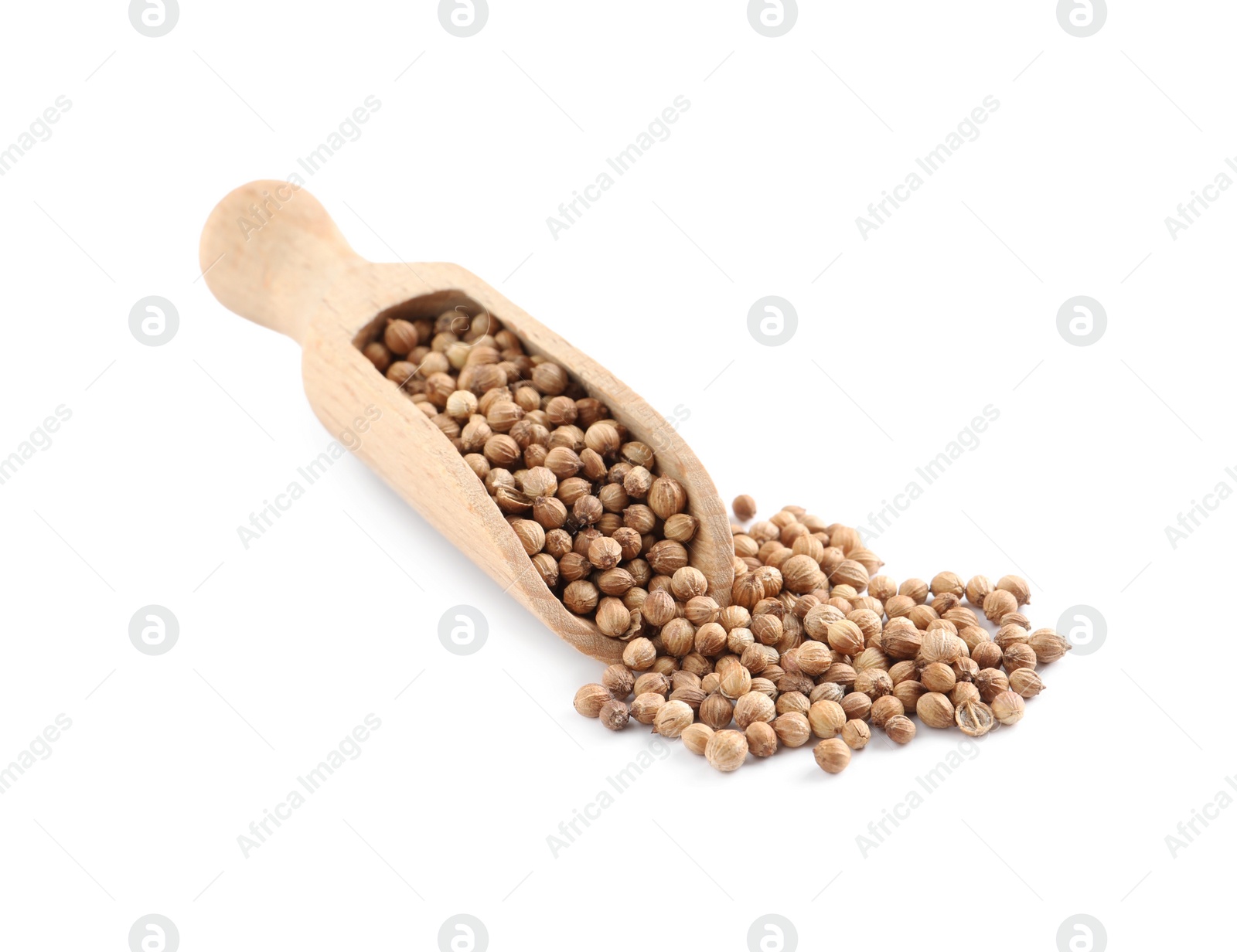 Dried coriander seeds with wooden scoop on white background Photo of Dried coriander seeds with wooden scoop on white background