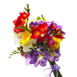 Bouquet of beautiful freesia flowers on white background Photo of Bouquet of beautiful freesia flowers on white background