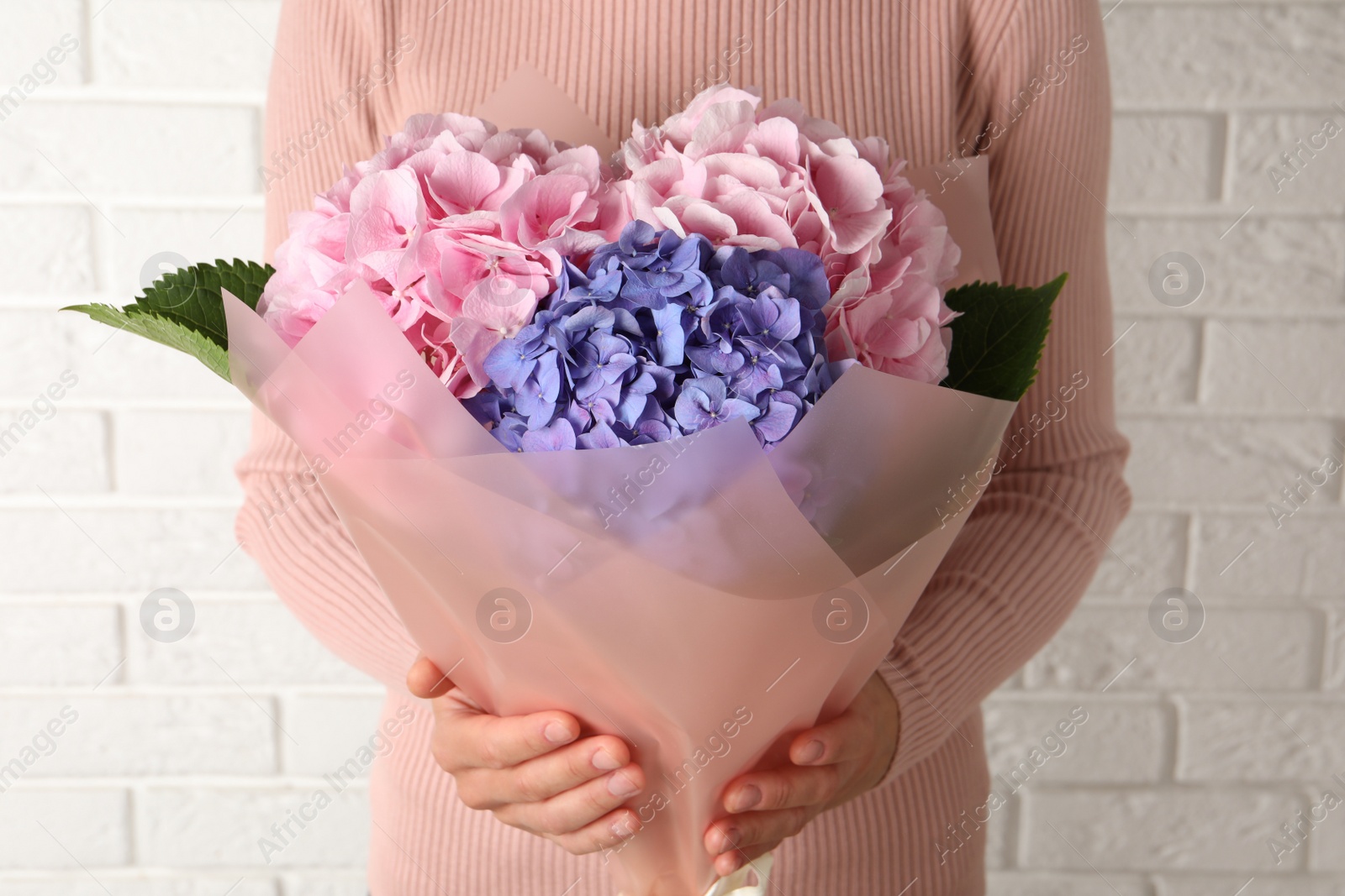 Woman with bouquet of beautiful hortensia flowers near white brick wall, closeup Photo of Woman with bouquet of beautiful hortensia flowers near white brick wall, closeup