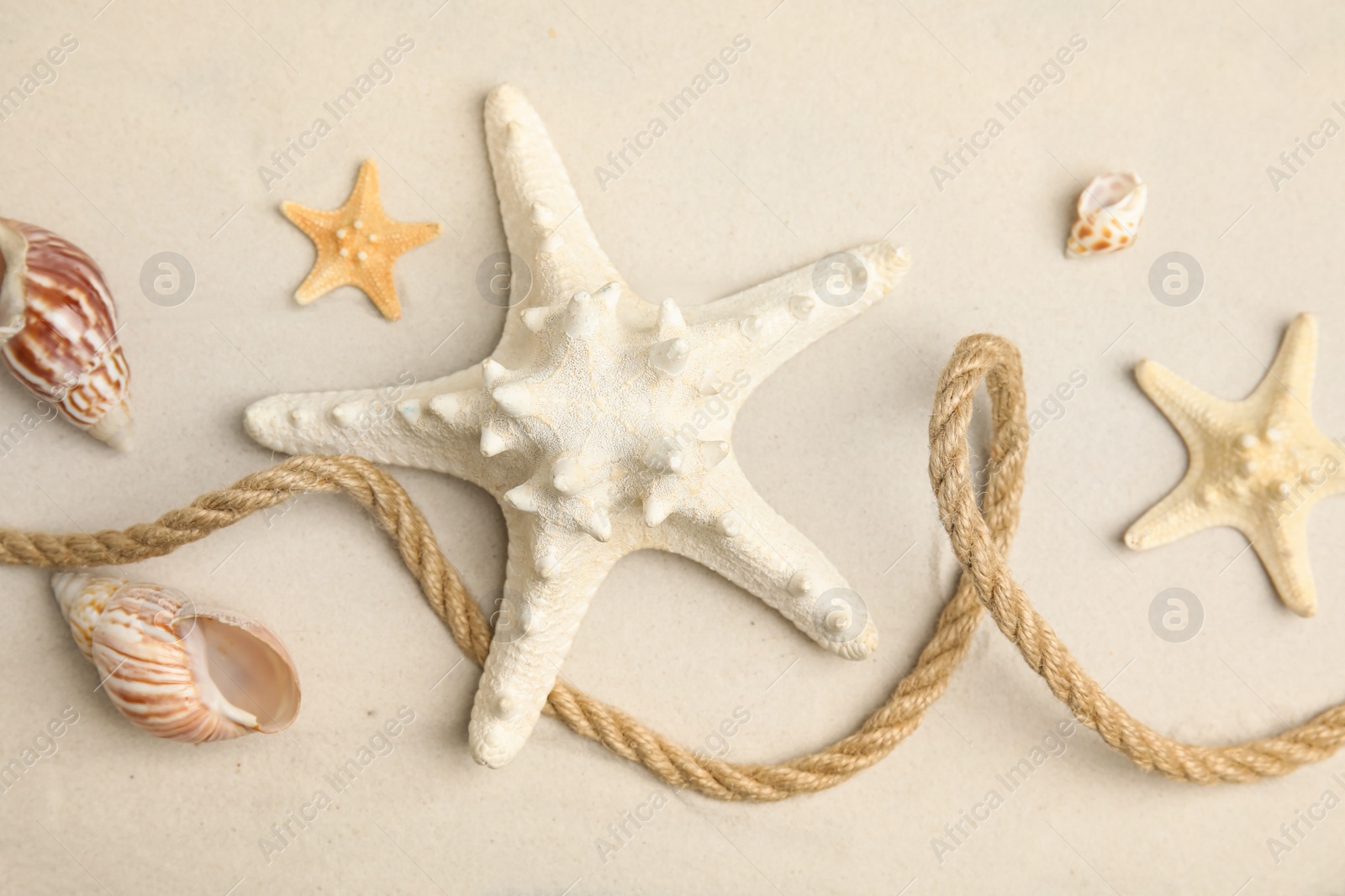 Photo of Beautiful sea stars, shells and rope on sand, flat lay