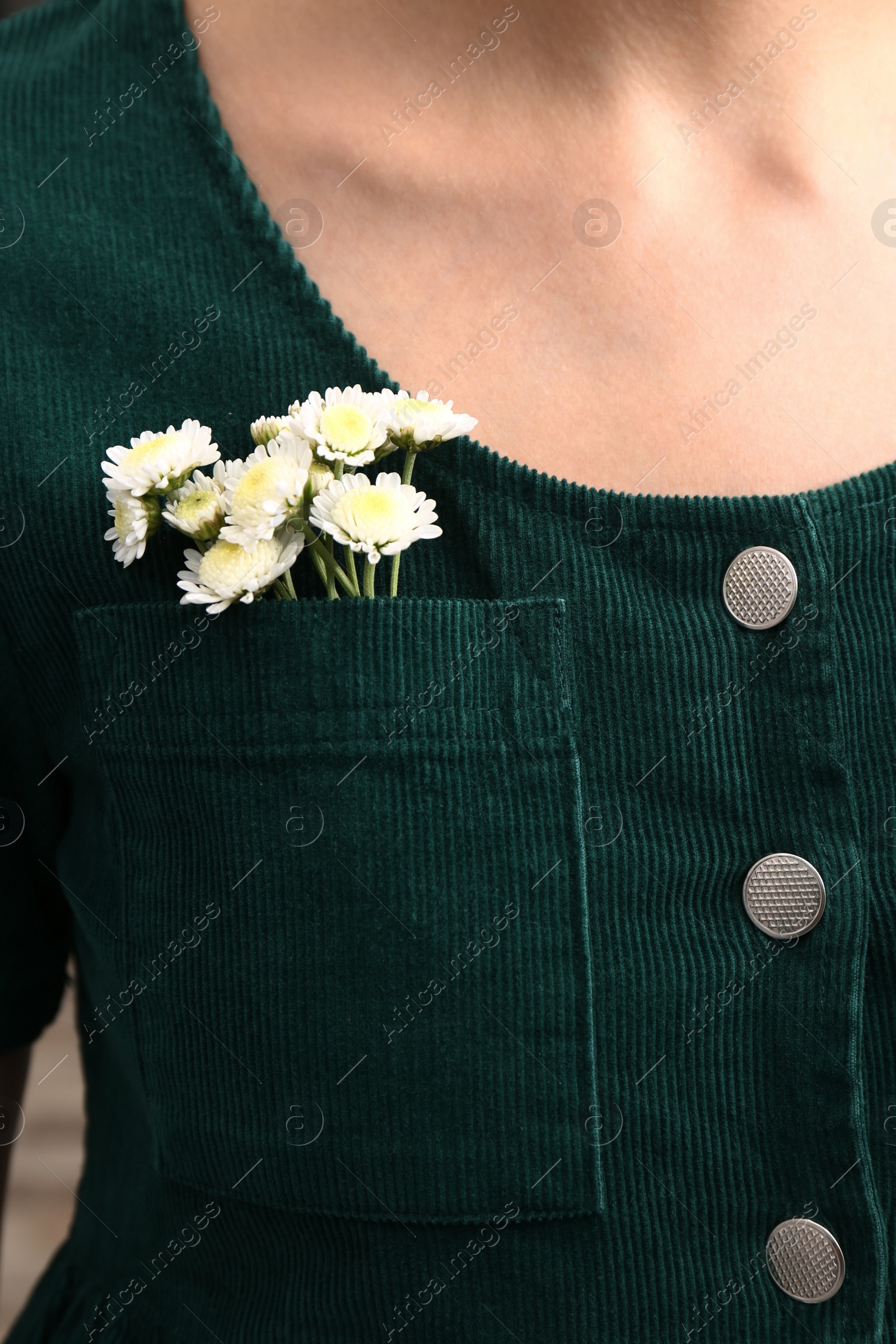 Woman wearing shirt with flowers in pocket, closeup Photo of Woman wearing shirt with flowers in pocket, closeup