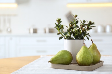 Fresh ripe pears and plant on table in kitchen. Space for text Photo of Fresh ripe pears and plant on table in kitchen. Space for text