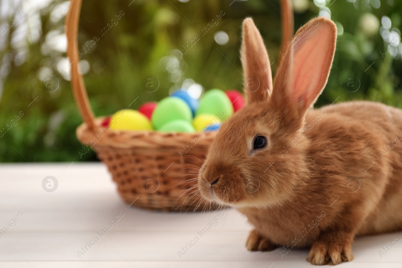 Cute bunny and basket with Easter eggs on table against blurred background. Space for text Photo of Cute bunny and basket with Easter eggs on table against blurred background. Space for text