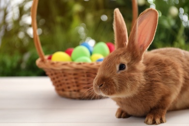 Cute bunny and basket with Easter eggs on table against blurred background. Space for text Photo of Cute bunny and basket with Easter eggs on table against blurred background. Space for text