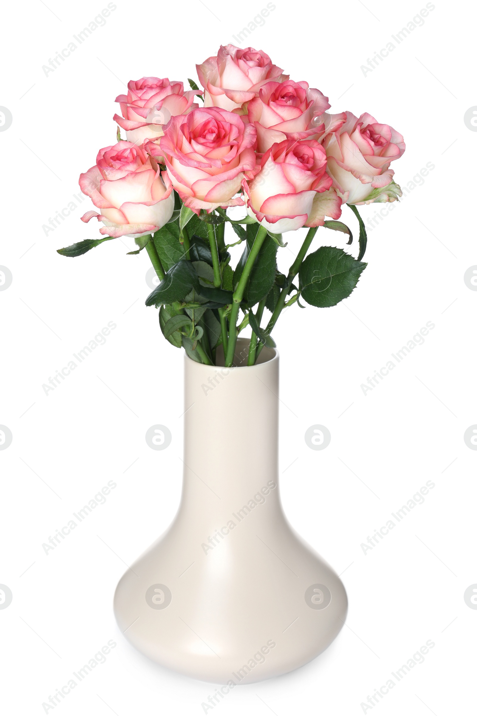 Beige vase with beautiful pink roses isolated on white Photo of Beige vase with beautiful pink roses isolated on white