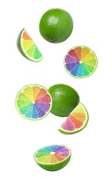 Fresh limes with rainbow segments falling on white background. Brighten your life Image of Fresh limes with rainbow segments falling on white background. Brighten your life