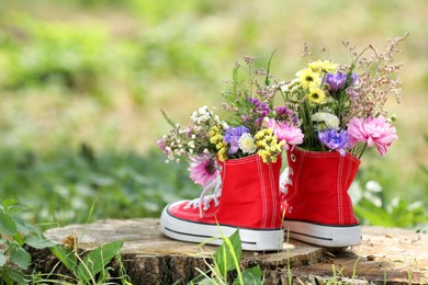 Beautiful flowers in shoes on stump outdoors, space for text Photo of Beautiful flowers in shoes on stump outdoors, space for text