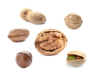 Set with different tasty nuts on white background Image of Set with different tasty nuts on white background