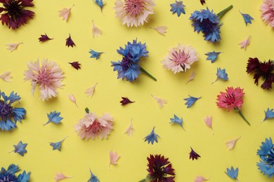 Beautiful colorful cornflowers on yellow background, flat lay Photo of Beautiful colorful cornflowers on yellow background, flat lay