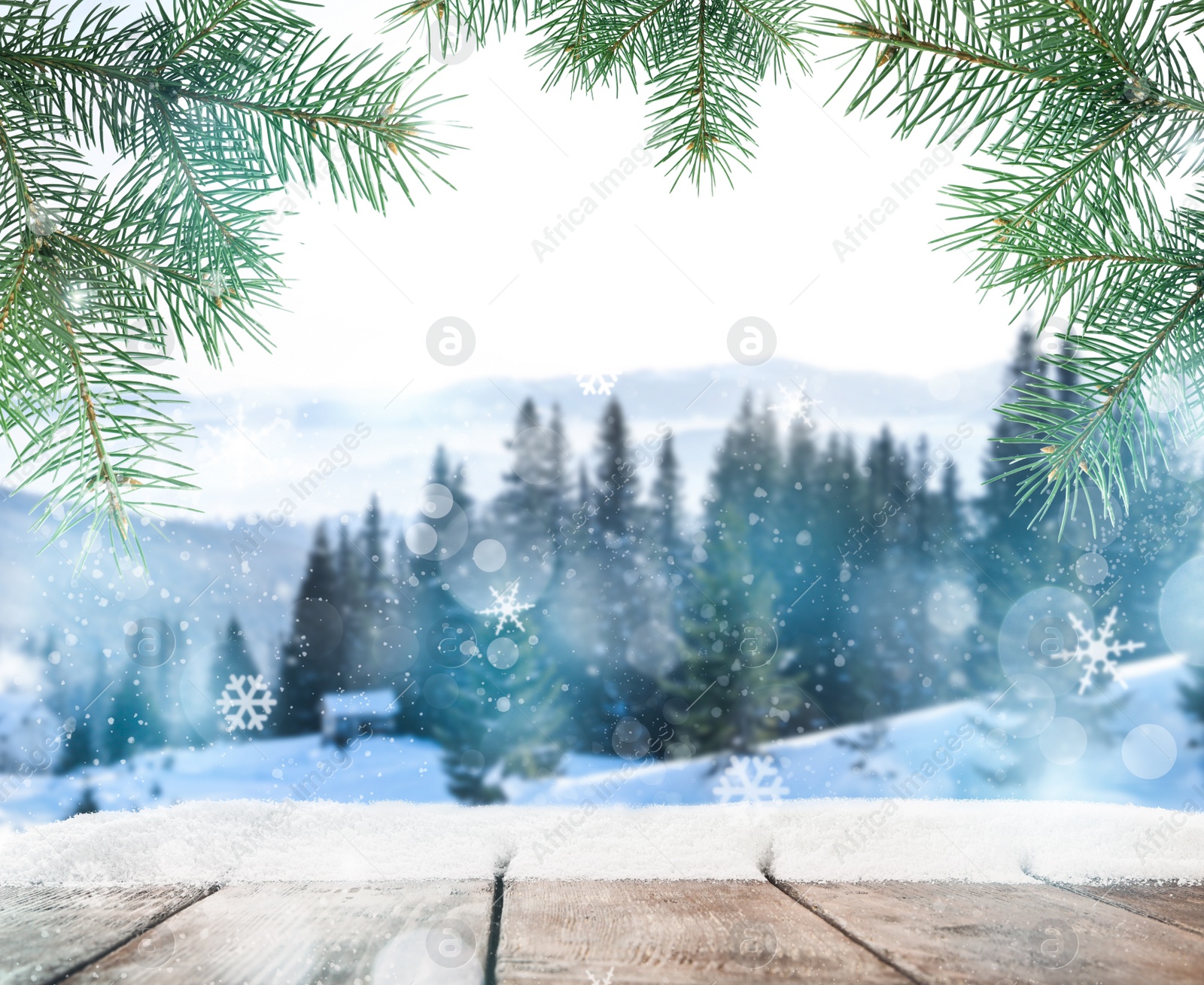 Image of Wooden board with snow and blurred forest on background. Christmas time