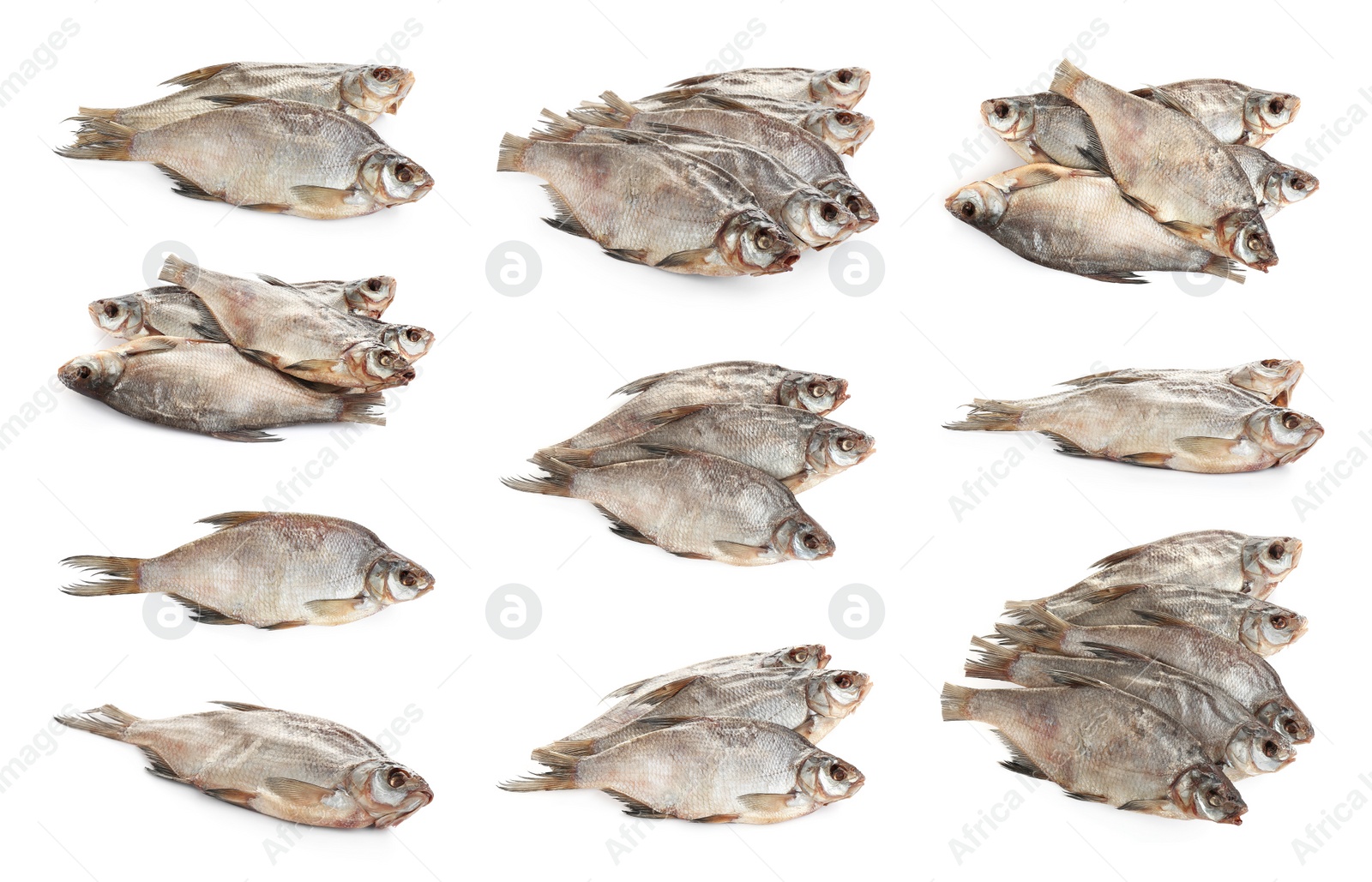 Set of tasty dry fish on white background Image of Set of tasty dry fish on white background