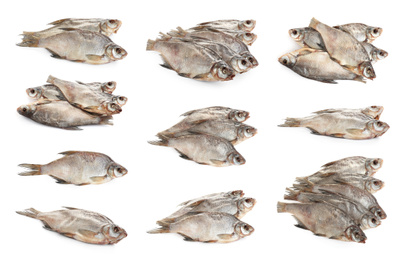 Set of tasty dry fish on white background Image of Set of tasty dry fish on white background