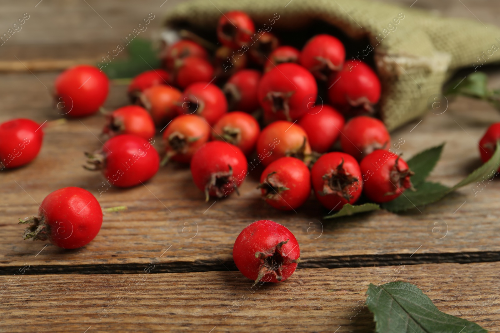 Ripe rose hip berries with green leaves on wooden table, closeup Photo of Ripe rose hip berries with green leaves on wooden table, closeup
