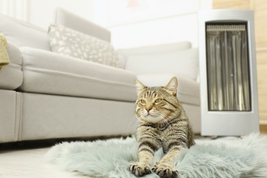 Cute tabby cat near electric heater at home Image of Cute tabby cat near electric heater at home