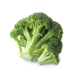 Fresh broccoli isolated on white. Edible green plant Photo of Fresh broccoli isolated on white. Edible green plant