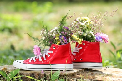Beautiful flowers in shoes on stump outdoors Photo of Beautiful flowers in shoes on stump outdoors
