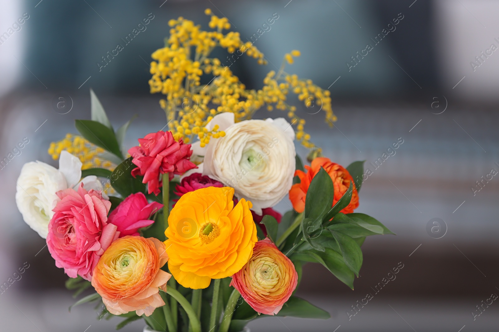 Beautiful ranunculus flowers on blurred background Photo of Beautiful ranunculus flowers on blurred background