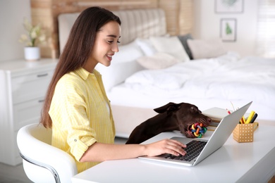 Young woman working on laptop near her playful dog in home office Photo of Young woman working on laptop near her playful dog in home office