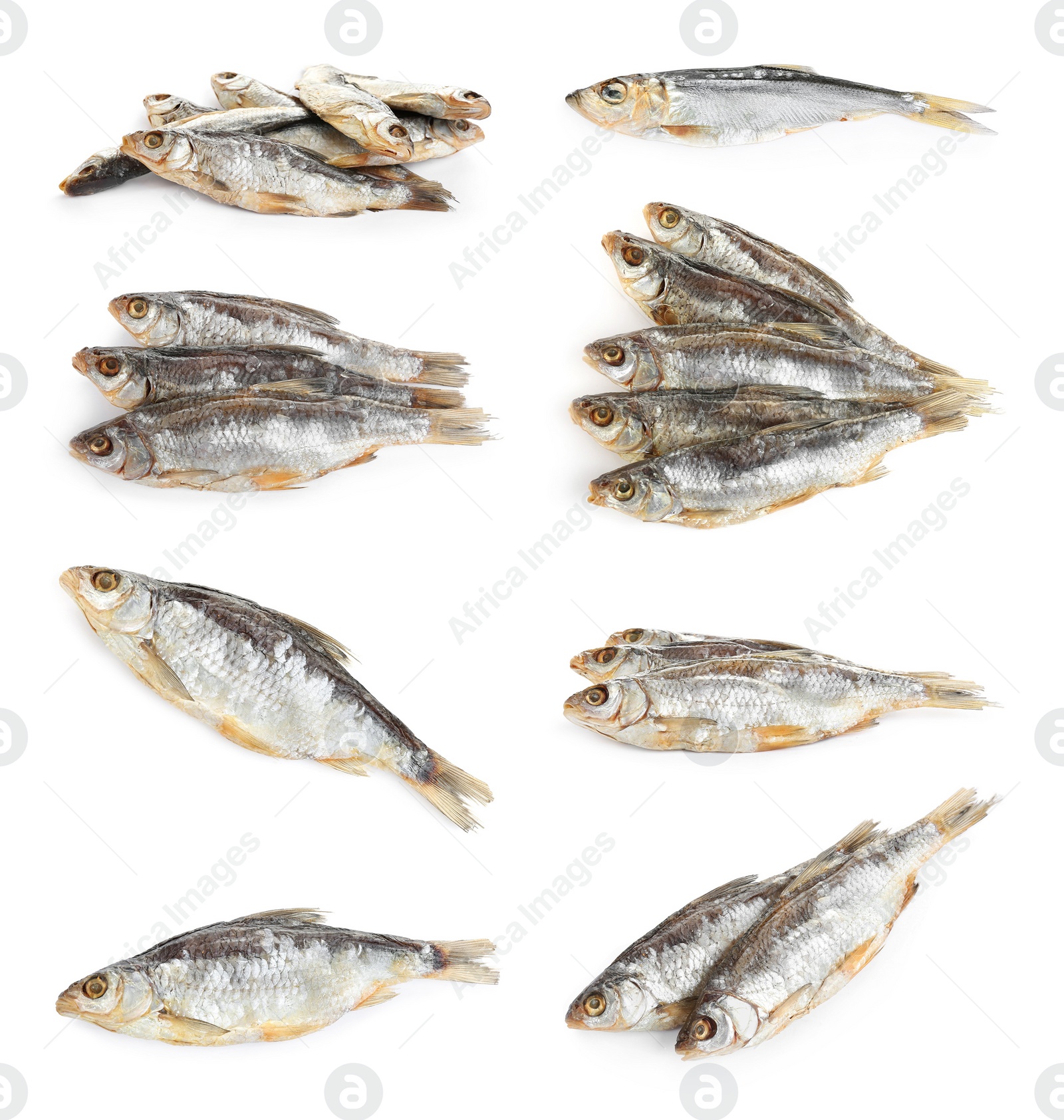 Set of tasty dry fish on white background Image of Set of tasty dry fish on white background