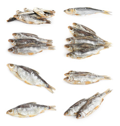 Set of tasty dry fish on white background Image of Set of tasty dry fish on white background