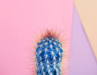 Beautiful bright cactus on color background, closeup Image of Beautiful bright cactus on color background, closeup