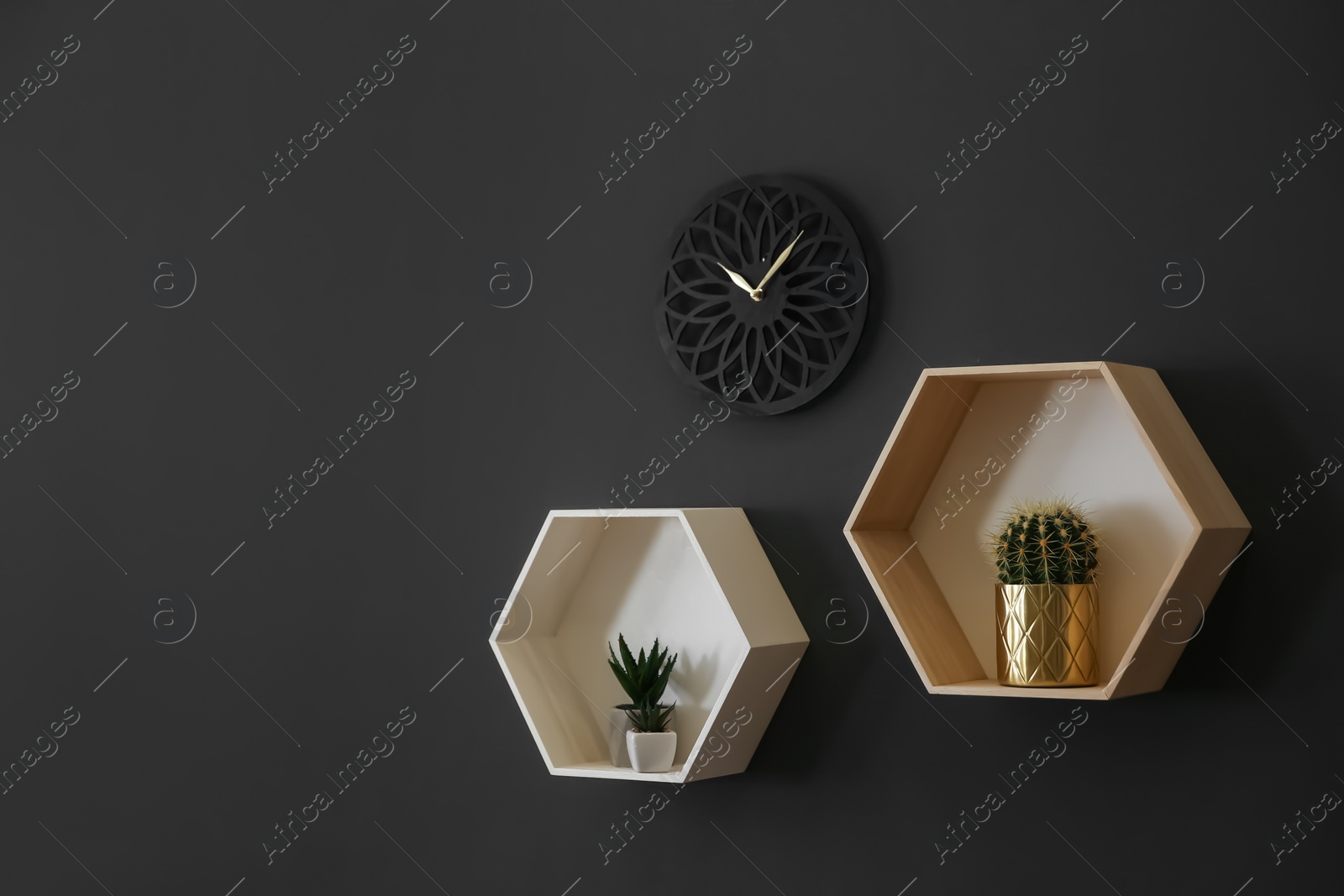 Clock and shelves with beautiful houseplants on black wall, space for text. Interior design Photo of Clock and shelves with beautiful houseplants on black wall, space for text. Interior design