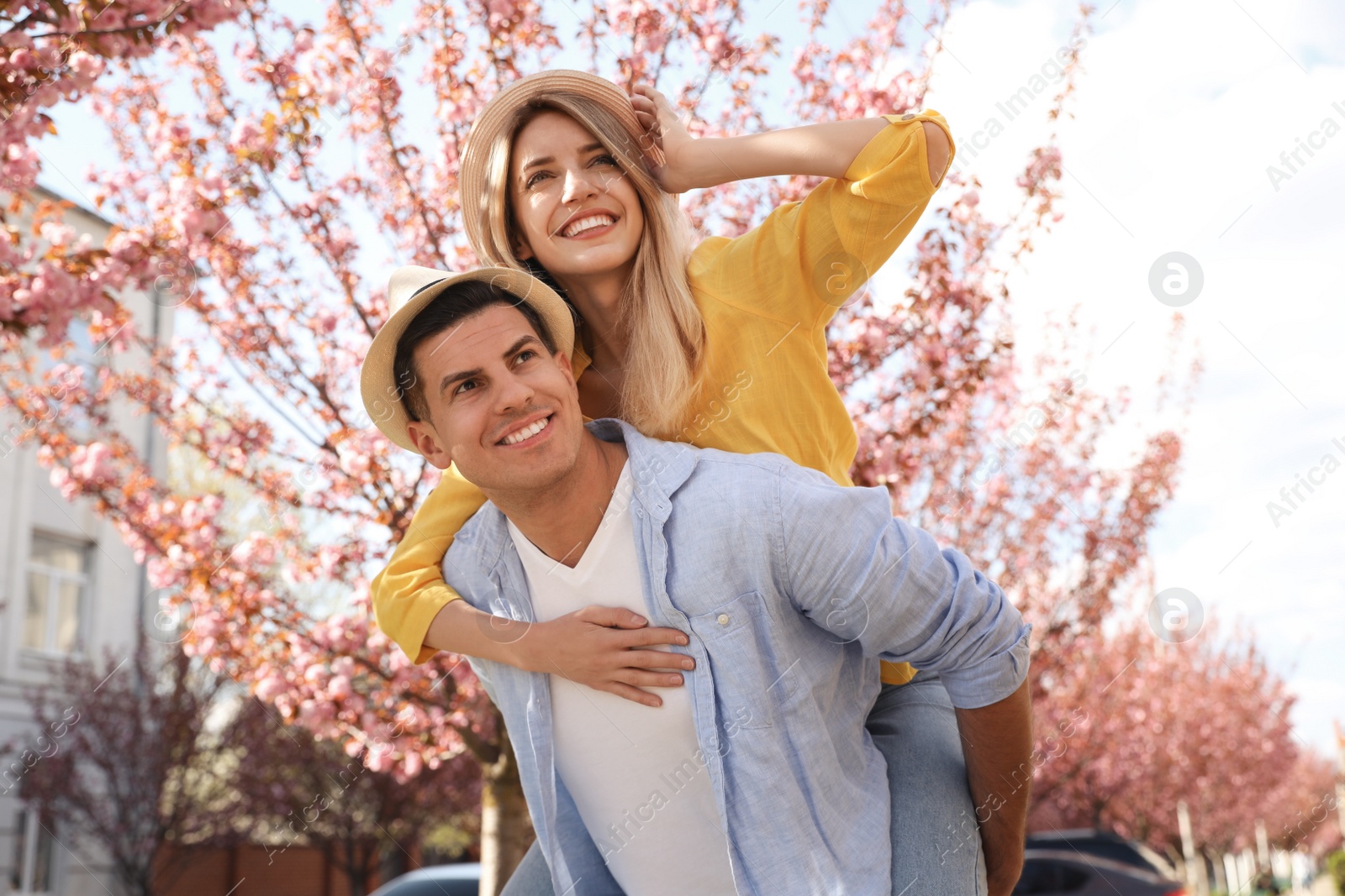 Happy stylish couple near blossoming sakura tree on city street. Spring family look Photo of Happy stylish couple near blossoming sakura tree on city street. Spring family look