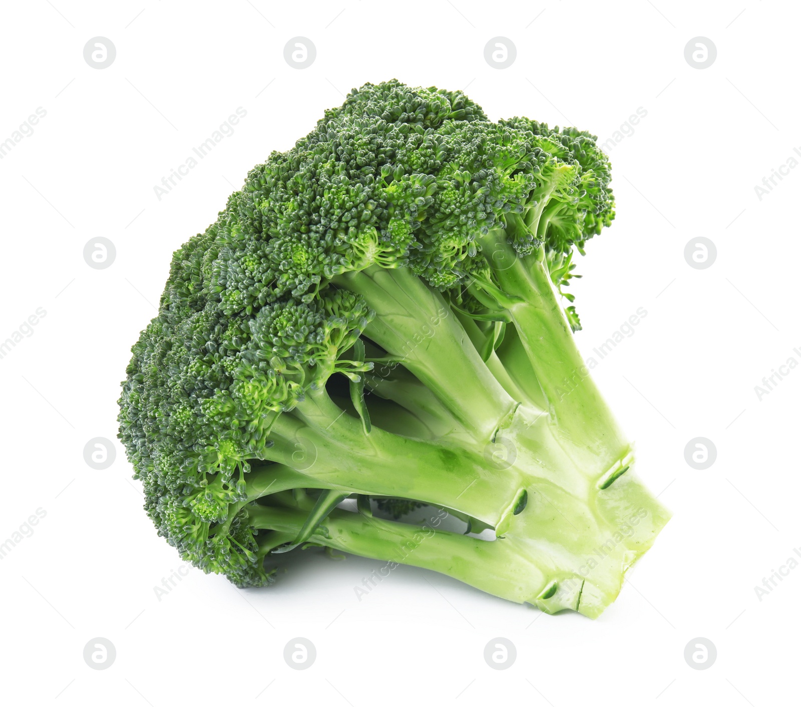 Fresh broccoli isolated on white. Edible green plant Photo of Fresh broccoli isolated on white. Edible green plant