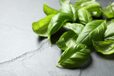 Fresh basil leaves on grey table, closeup Photo of Fresh basil leaves on grey table, closeup