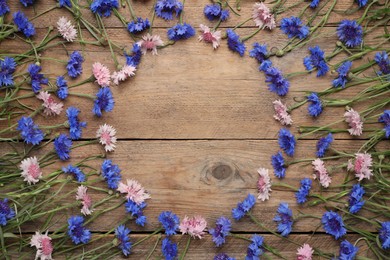 Frame of beautiful colorful cornflowers on wooden background, flat lay. Space for text Photo of Frame of beautiful colorful cornflowers on wooden background, flat lay. Space for text