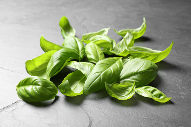 Pile of fresh basil leaves on grey table Photo of Pile of fresh basil leaves on grey table