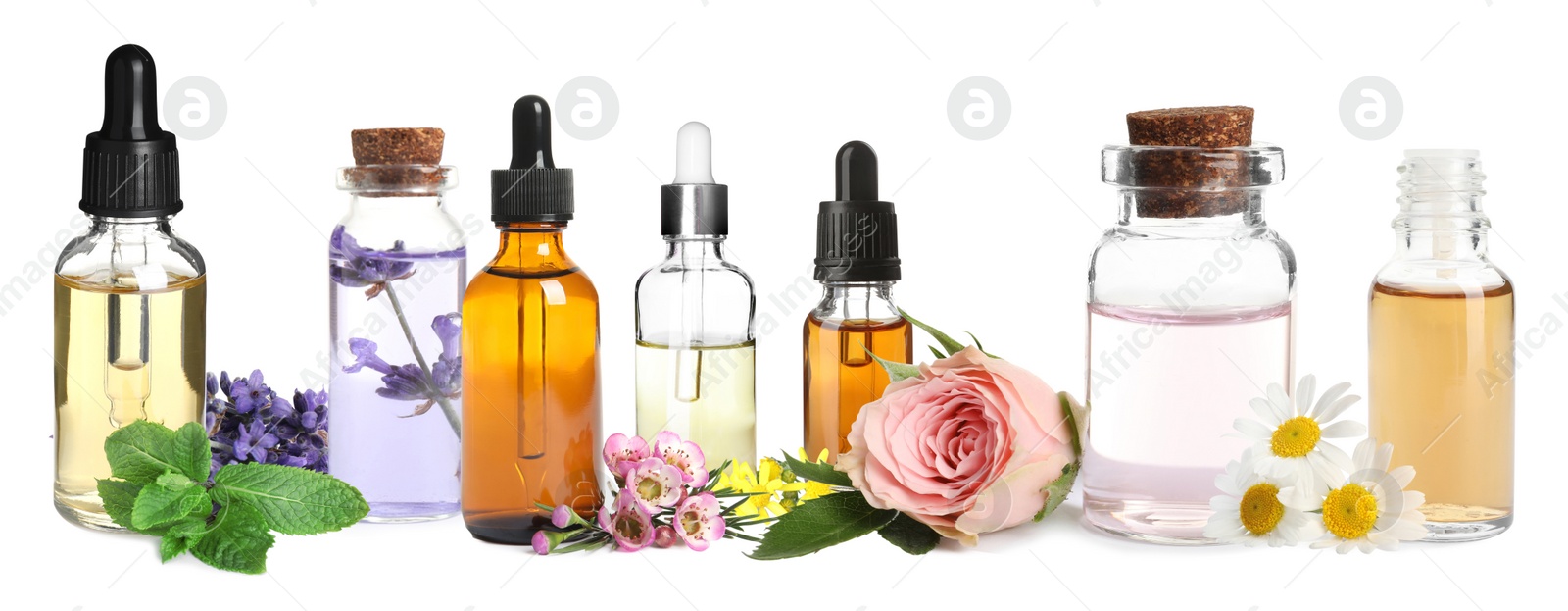Set of different essential oils used in aromatherapy on white background, banner design Image of Set of different essential oils used in aromatherapy on white background, banner design