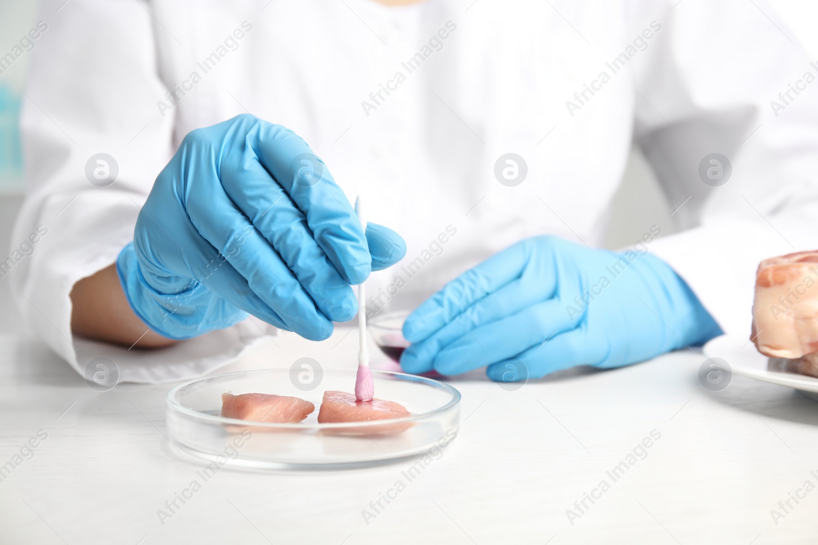 Scientist inspecting meat at table in laboratory, closeup. Poison detection Photo of Scientist inspecting meat at table in laboratory, closeup. Poison detection