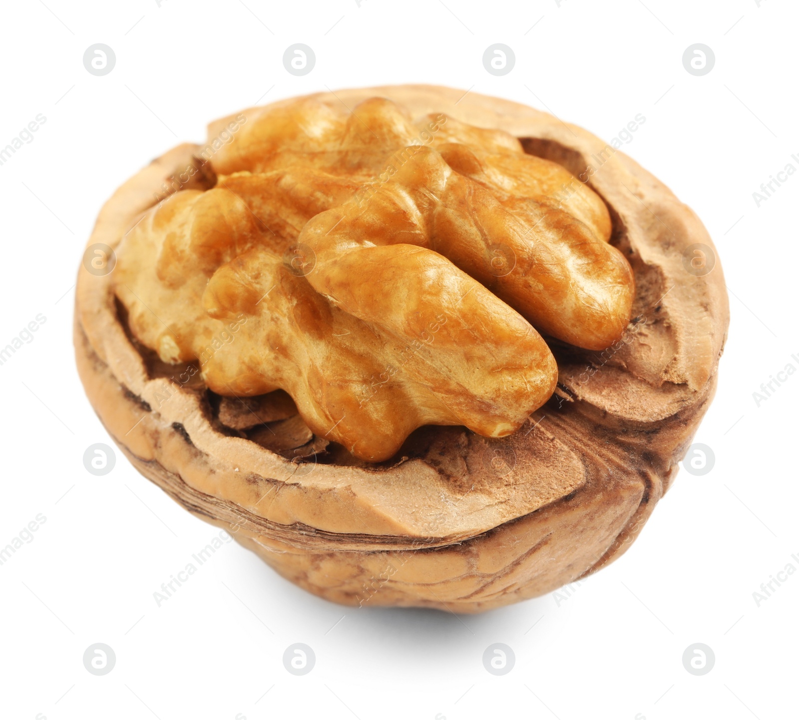 Tasty walnut in shell isolated on white Photo of Tasty walnut in shell isolated on white