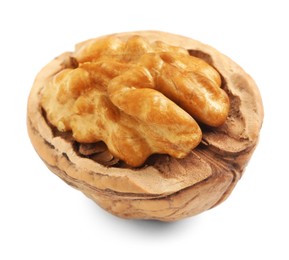 Tasty walnut in shell isolated on white Photo of Tasty walnut in shell isolated on white
