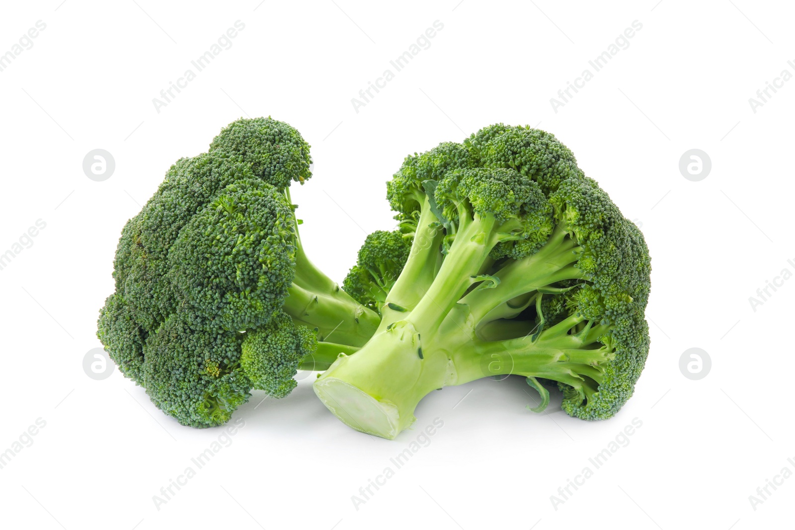 Fresh broccoli isolated on white. Edible green plant Photo of Fresh broccoli isolated on white. Edible green plant